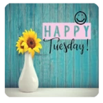 happy tuesday android application logo